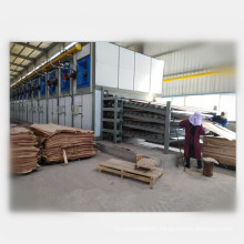 Continuous Peeled Core Veneer Dryer Machine for Plywood